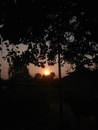 Silhouette trees on field against sky during sunset