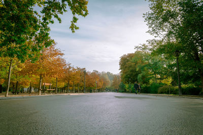 Road amidst trees against sky in city