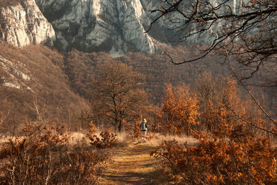 Rear view of person standing amidst trees in forest during autumn