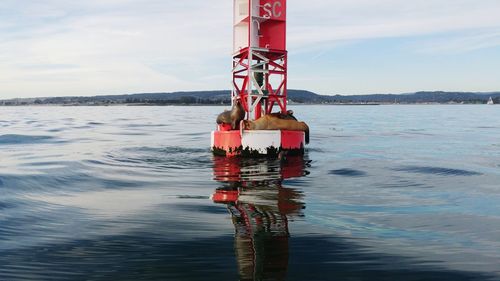 Lifeguard hut on sea against sky