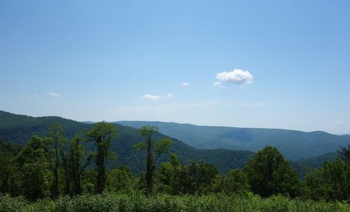 Scenic view of trees and mountains against sky