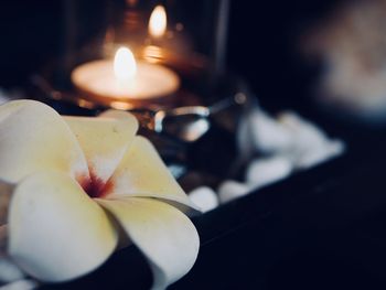 Close-up of illuminated candles on table