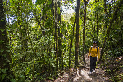 Woman exploring the rainforest in mindo, pichincha, ecuador