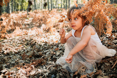 Girl looking away while sitting on land in forest during autumn