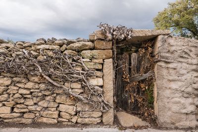 Bare tree in front of stone wall against sky