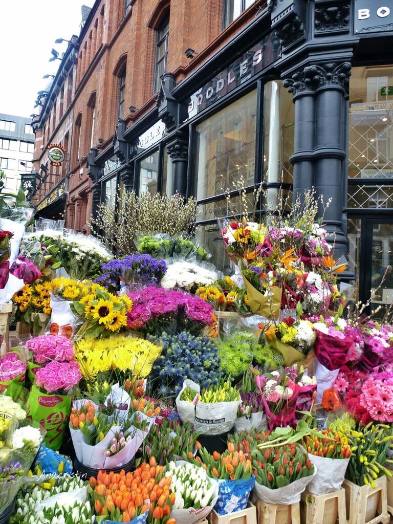 flower, building exterior, architecture, built structure, freshness, abundance, fragility, multi colored, plant, variation, for sale, growth, potted plant, blooming, city, market, day, outdoors, large group of objects, choice