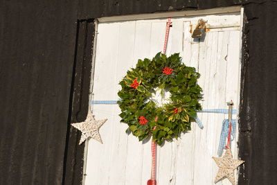 Close-up of flowers hanging on window