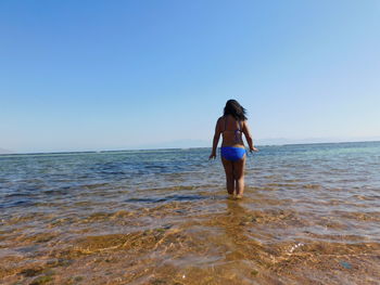 Rear view of man standing in sea against clear sky