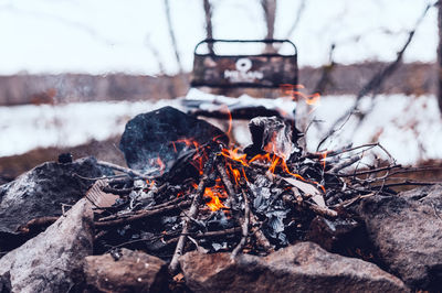 Close-up of firewood