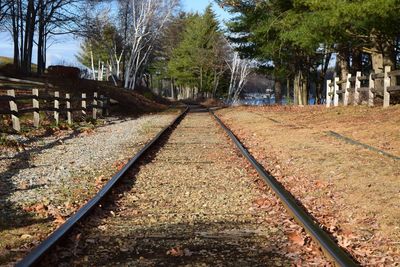 Railroad track amidst trees against sky