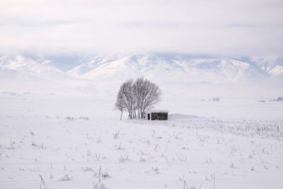 Scenic view of snow covered field against sky