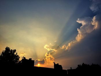 Low angle view of silhouette trees against sky at sunset