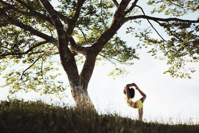 Young woman doing yoga exercise outdoors on grass in park at sunset