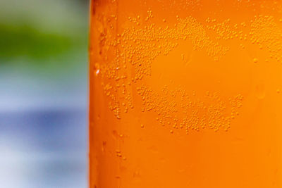 Close-up of wet orange glass