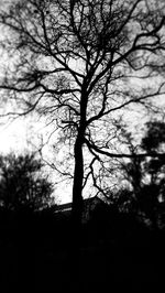 Silhouette of bare tree against sky