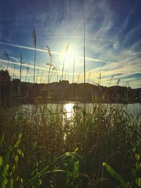 Scenic view of river against sky at sunset