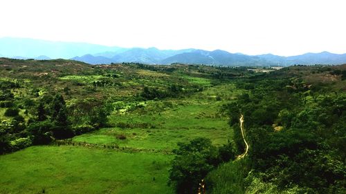 Scenic view of green landscape against sky