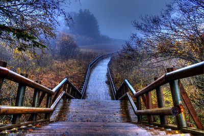 Footbridge in forest during autumn