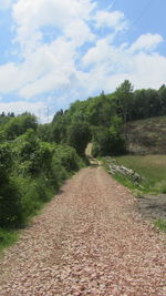 Road amidst trees against sky