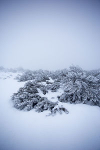 Scenic view of frozen landscape against clear sky