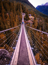 Suspension bridge at squamish, bc, canada. above sae to sky highway.