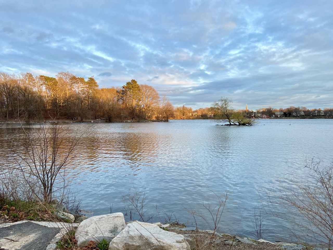 water, sky, lake, tree, scenics - nature, beauty in nature, tranquility, plant, reflection, nature, body of water, tranquil scene, reservoir, shore, cloud, landscape, no people, environment, autumn, wilderness, non-urban scene, day, land, outdoors, idyllic, lakeshore, forest, beach, travel destinations, remote, morning, grass, rock