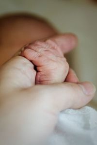 Close-up of baby hands