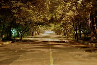 Empty road along trees