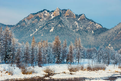 Snow covered land and trees against sky