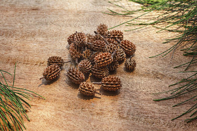 High angle view of pine cone on table