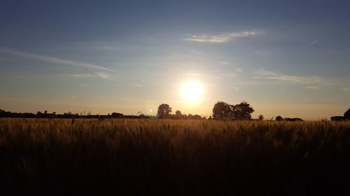 Scenic view of grassy field against sky during sunset