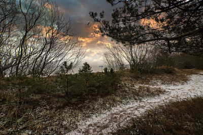 Bare trees on landscape against sky at sunset