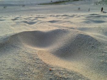 Scenic view of beach