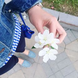 Close-up of woman holding flowers