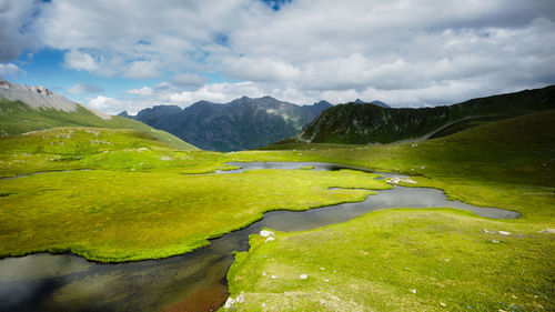 Mountain lake in summer with a flower meadow. blue sky with white clouds