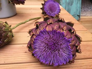 Close-up of purple flowers