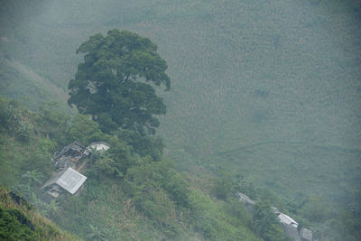 High angle view of trees on landscape