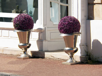 Close-up of flower vase on window sill