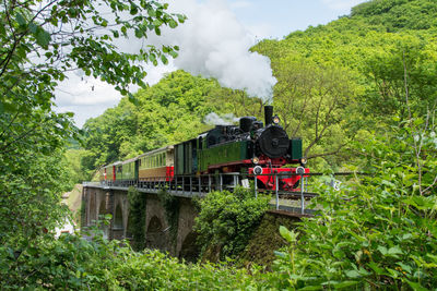 Train on bridge