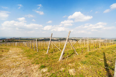 Wooden posts on field against sky