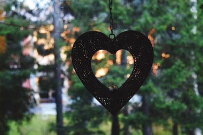 Close-up of heart shape hanging on tree