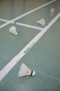 Shuttlecocks are scattered on the badminton court