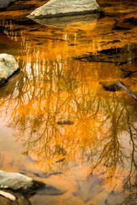 View of lake in autumn