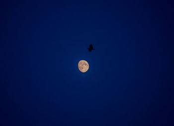 Low angle view of moon against clear blue sky