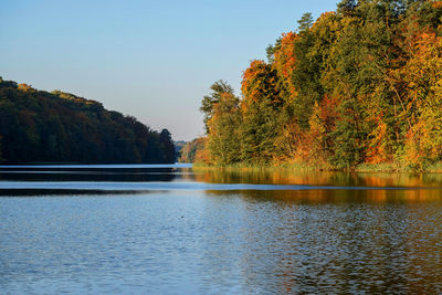 Scenic view of lake against clear sky during autumn