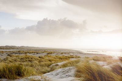 Scenic view of beach against sky