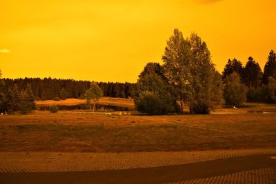 Trees on field against sky during sunset