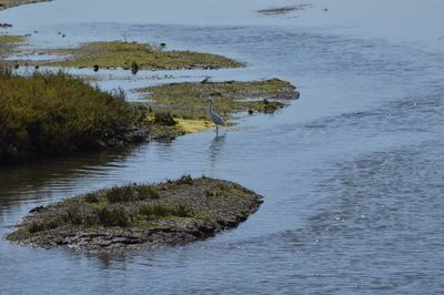 High angle view of sea shore