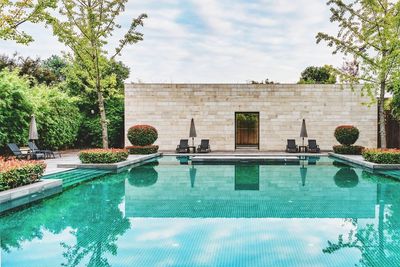 Reflection of trees on swimming pool