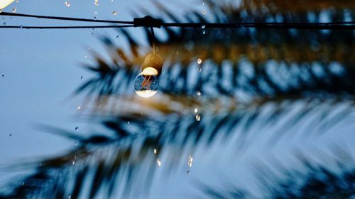 Close-up of raindrops on glass